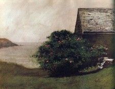 File8986. Wyeth, 