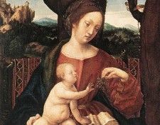 BURGKMAIR Hans Madonna With Grape. Burgkmair, 