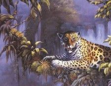 kb Ratnavira Gamini-Spirit of Iguazu. Ratnavira, ������