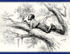 zFox SWD TN 56 Cutting  Mistletoe In The South. Nast, 