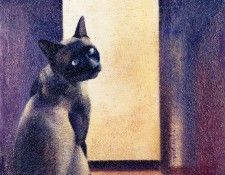 17007. Fortis, ������ Ozamiz