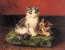 Watch Kittens Cats and Kittens 1904. ,   Brunel