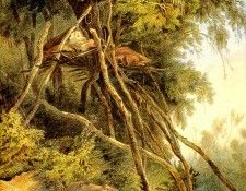 Kb 0021 Tombs of Assiniboin Indians in Trees KarlBodmer, 1832-33 sqs. ������, ����