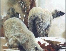 lrsSolbergMorten-ArticNomads. ��������, ������ E