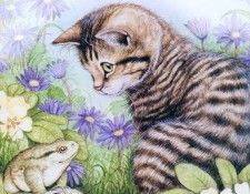 kb Cook Debbie 2000 11. ���, �����