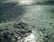 art 701. , 