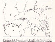 Oz AGls102 Tony Oliver Tasmanian Devil Key. , 