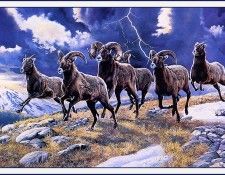 bs-na- Andrew Kiss- Thunderstruck. , 