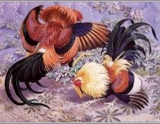 43649. Tunnicliffe, 