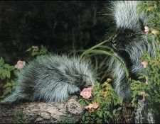 lrs Walker Linda- Quills& Roses. , 