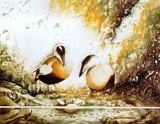 Jeannine Bourret - Comme une ile deserte, De. �����, ������