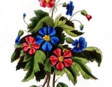 Barbara Milo Ohrbach - A Token of Friendship 13, De. Ohrbach, ������� Milo