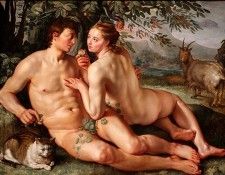 47585344.IMG 5498600. ��������, ������