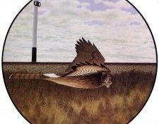 Alex Colville - Sign and Harrier, De. �������, �����
