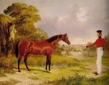 herring1. ������, ���� ��������