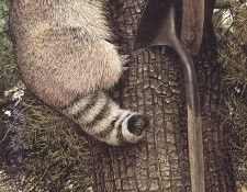 bs- Nicholas Wilson- Farmers Adversary. , 