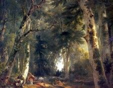 hudson rv sc csg010 in the woods-asher brown durand 1855. ,  