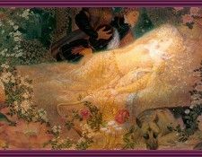 WMS Sleeping Beauty 13. , Kinuko Y