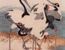 pic09264. Shunman, ����