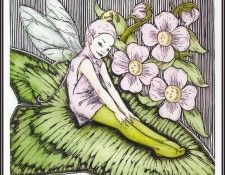 lrsAOF009BarohJulie-JardinFaerie. Baroh, �����