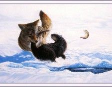 bs-na- Todd Fredericksen- Stealing The Otters Catch. Fredericksen, ����