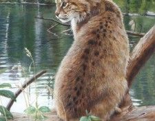 kb Foggett Lindsey-Green Reflections. Foggett, 