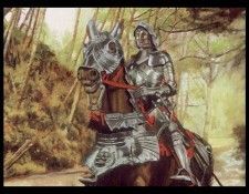 Tar Valon Soldiers-WOT-Premiere-Jim Houston-D50. , 