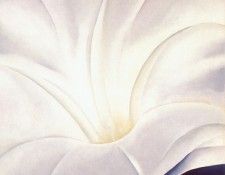 okeeffe morning glory with black no 3 1926. OKeeeffe, ������