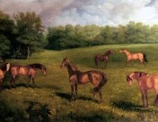Palmer James Lynwood The Duke Of Portlands Stallions At Welbeck Stud. ,  