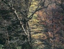 art 714. , 