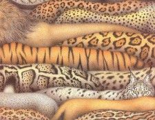 Bayley, Nicola - 04 (end. �����, ������