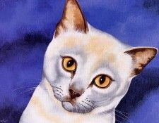 Brian Barfoot - Dec2001 (end. ������, ������