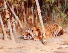 Kuhnert Wilhelm A Preying Lion. Kuhnert, ���������