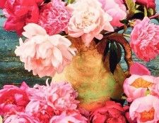 Amanda Bradley - February 2001, De. ������, ������