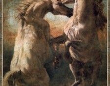 cr TomaszRut-01-ManuForti. ���, �����