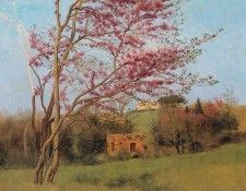 Godward Landscape Blossoming Red Almond. �������, ���� ������