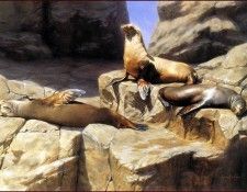 lrs Howe Nancy- Sunday. ���, �����