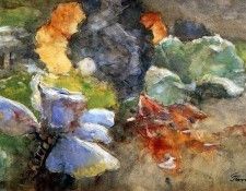 Verster Floris Gabage plants at sunset Sun. , 