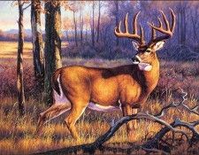 bs-na- Brent Todd- Autumn Air. , Brent