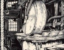 Pieck Anton 029 Sun. , 