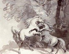 08223. ����������, �����