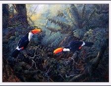 bs-na- Gamini Ratnavira- Toco Toucans. Ratnavira, 