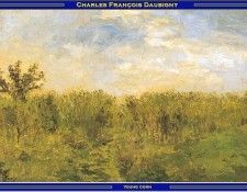 PO Vp S2 16 Daubigny-Young corn.  -