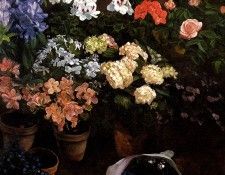 Bazille Frederic Study Of Flowers. , 