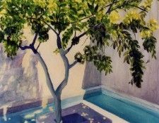 43725. ����, Borrego