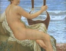 31065. ��������, �����