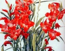 demuth gladiolus 1928. �����, ������