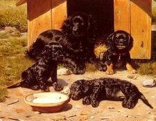 Tilly Vilhelm Eyvind The Tired Family. �����, ��������� ������