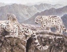 kb Hillier Matthew-High Jinks. ������, �����