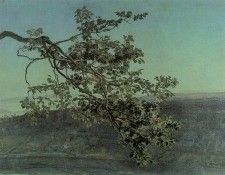 �����. ������, ���������